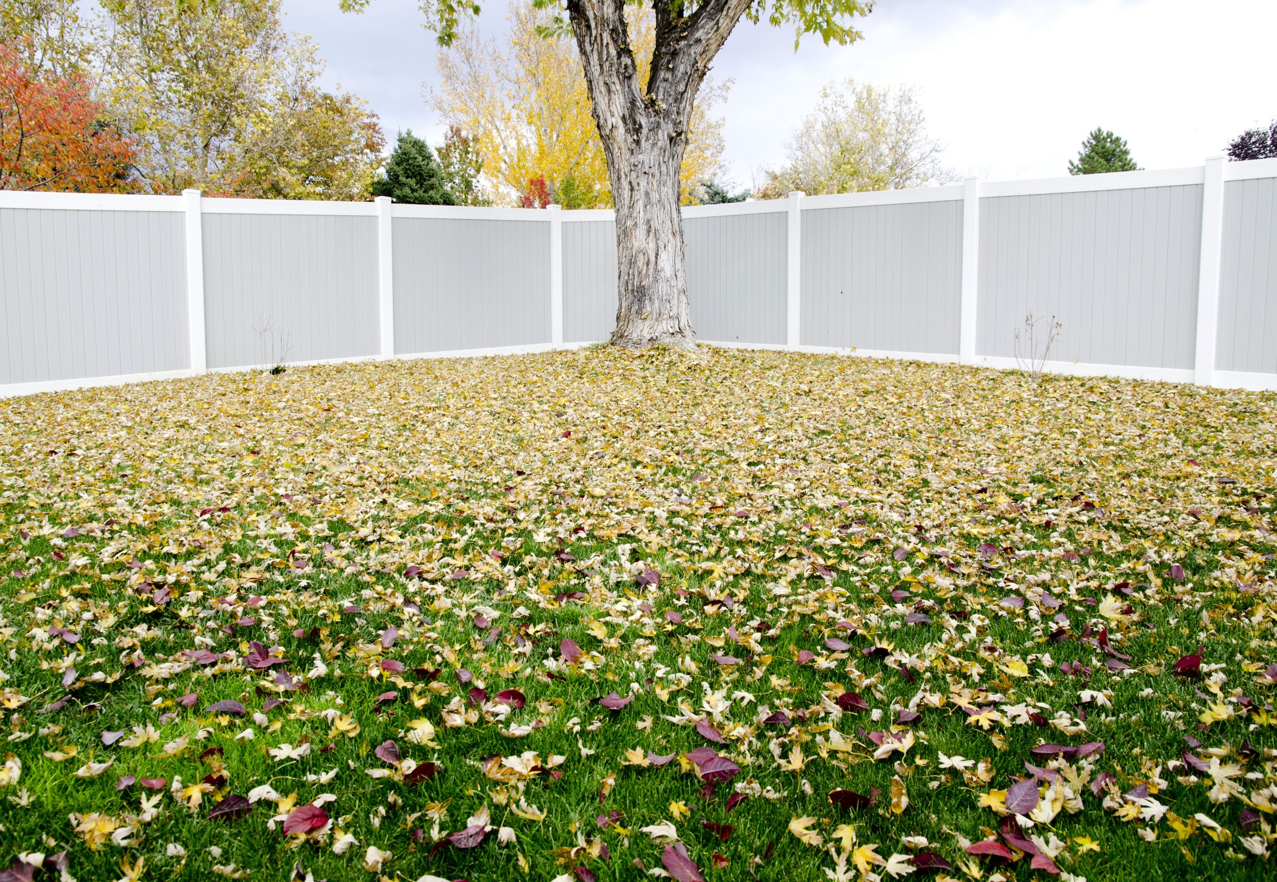 privacy fence Regina